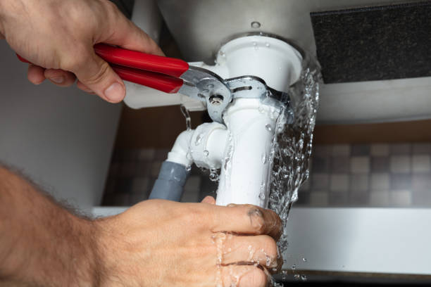 Best Carpet water damage restoration  in Pinetop Lakeside, AZ
