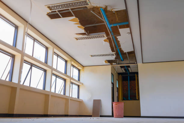 Best Professional water damage repair  in Pinetop Lakeside, AZ