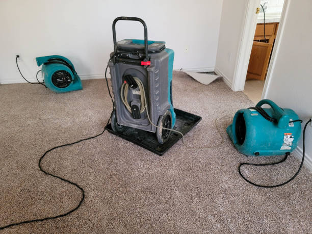 Best Flood restoration services  in Pinetop Lakeside, AZ