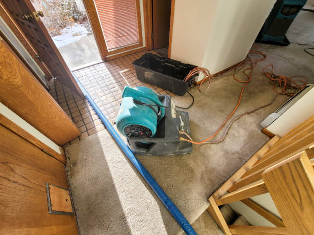 Best Residential water damage restoration  in Pinetop Lakeside, AZ