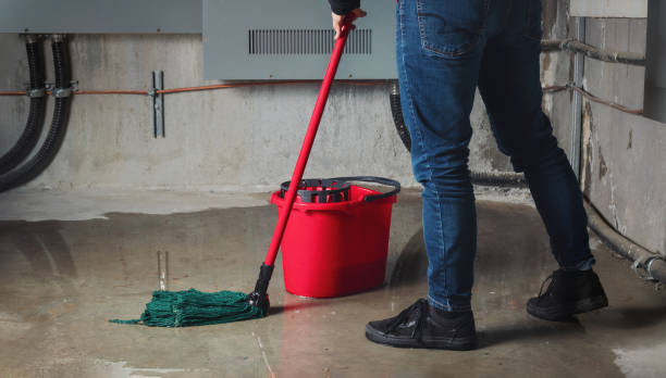 Best Water damage cleanup near me  in Pinetop Lakeside, AZ