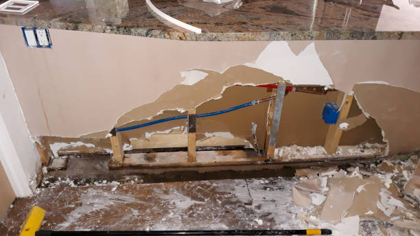 Best Basement water damage restoration  in Pinetop Lakeside, AZ