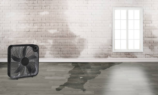  Pinetop Lakeside, AZ Water damage restoration Pros