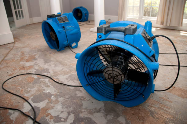 Best Ceiling water damage repair  in Pinetop Lakeside, AZ